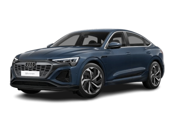 Windscreen Wiper Blades for Audi Q8 e-tron 2023-2025 (F1)