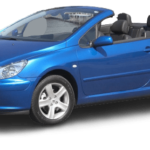 Windscreen Wiper Blades for Peugeot 307 2003-2005 (T5) Convertible